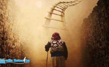 The Journey of Life