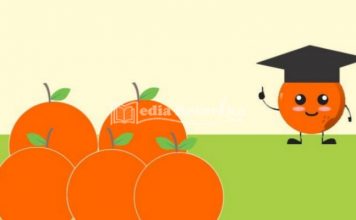 Jeruk Kok Makan Jeruk