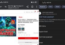 Website Resmi STKIP PGRI Sumenep Diretas, Berisi Link Judi Online