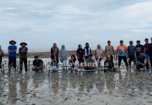 Cegah Abrasi, KKN Posko 03 UPI Sumenep Tanam 225 Bibit Mangrove di Desa Kapedi